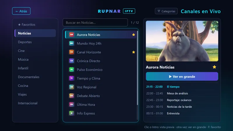 Pantalla de canales en vivo: categorías, lista de canales y vista previa con programación